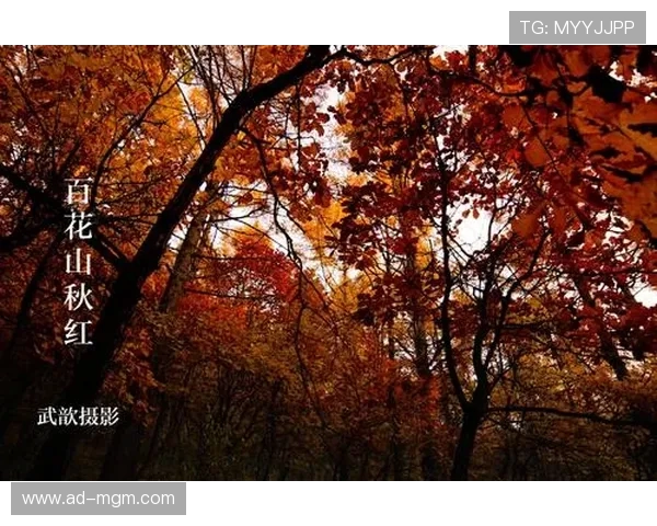 《挑战音乐记忆力听歌词接龙游戏让你秒懂每首歌的下一句》